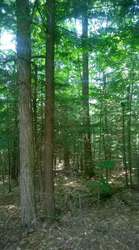 2 Doe Run, Thornton, NH 03285