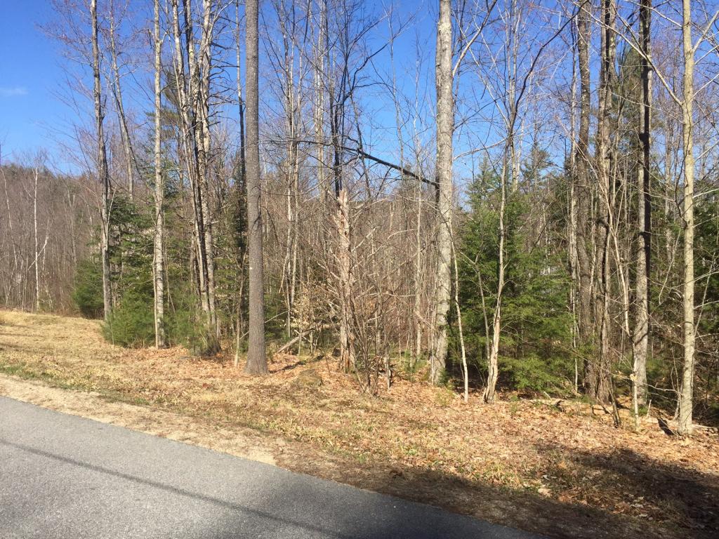 Lot 18 Lot 16 Fondue Avenue, Thornton, NH 03285