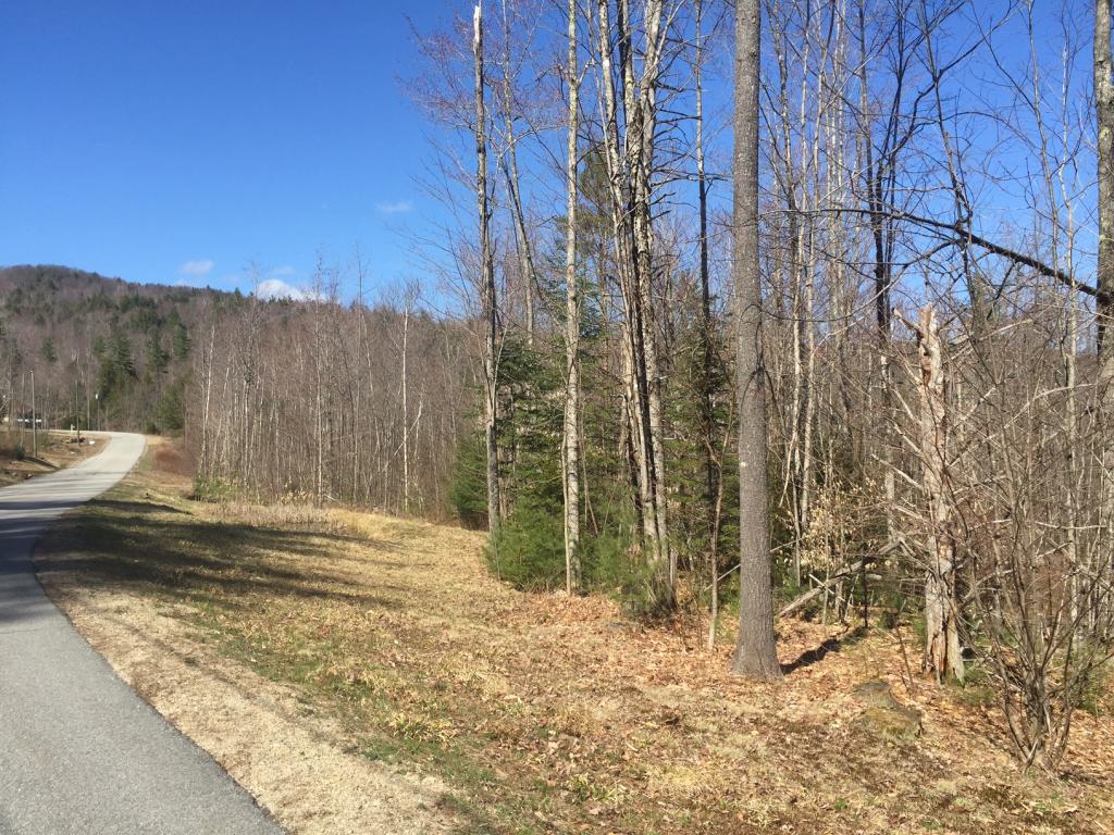 Lot 18 Lot 16 Fondue Avenue, Thornton, NH 03285