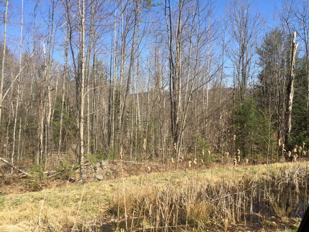 Lot 18 Lot 16 Fondue Avenue, Thornton, NH 03285