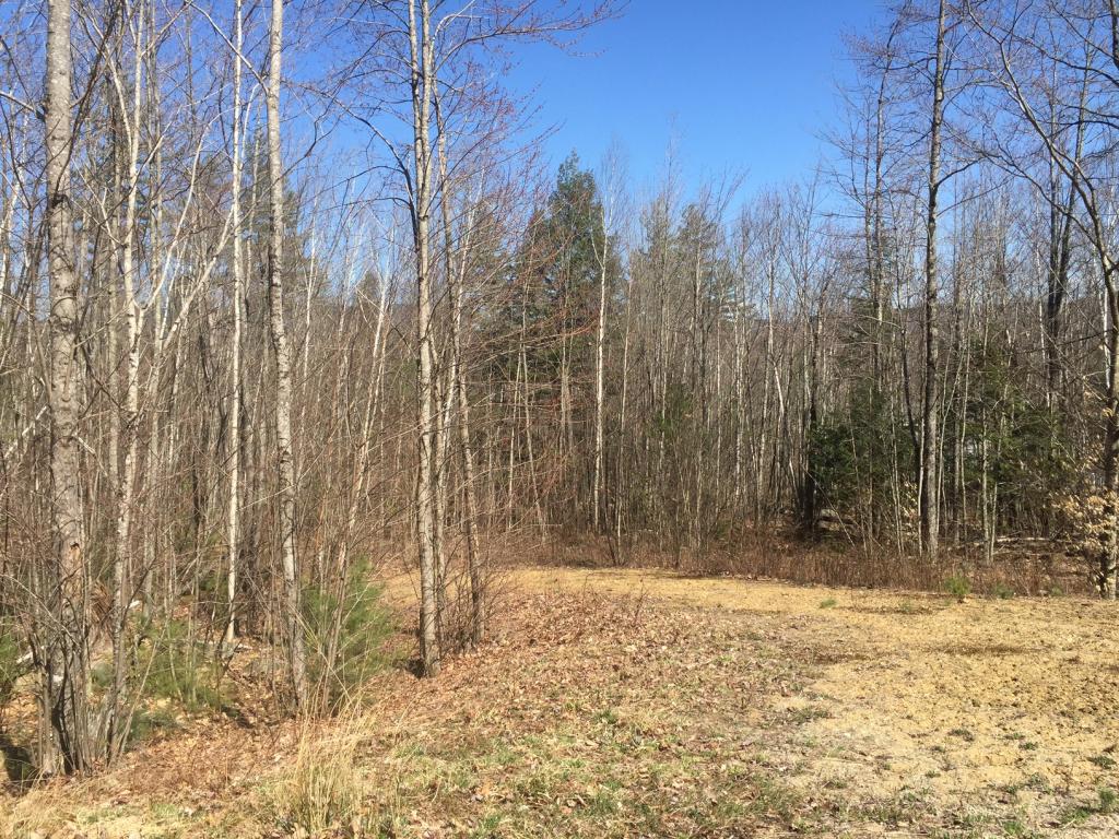 Lot 18 Lot 16 Fondue Avenue, Thornton, NH 03285