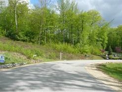 7 Mcnichol Lane, Bow, NH 03304