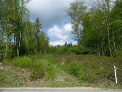 7 Mcnichol Lane, Bow, NH 03304