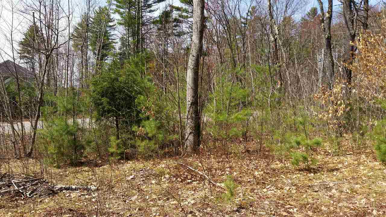 Bert Lane, Loudon, NH 03307