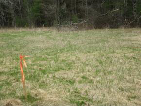 0 Old Homestead Highway, Swanzey, NH 03446