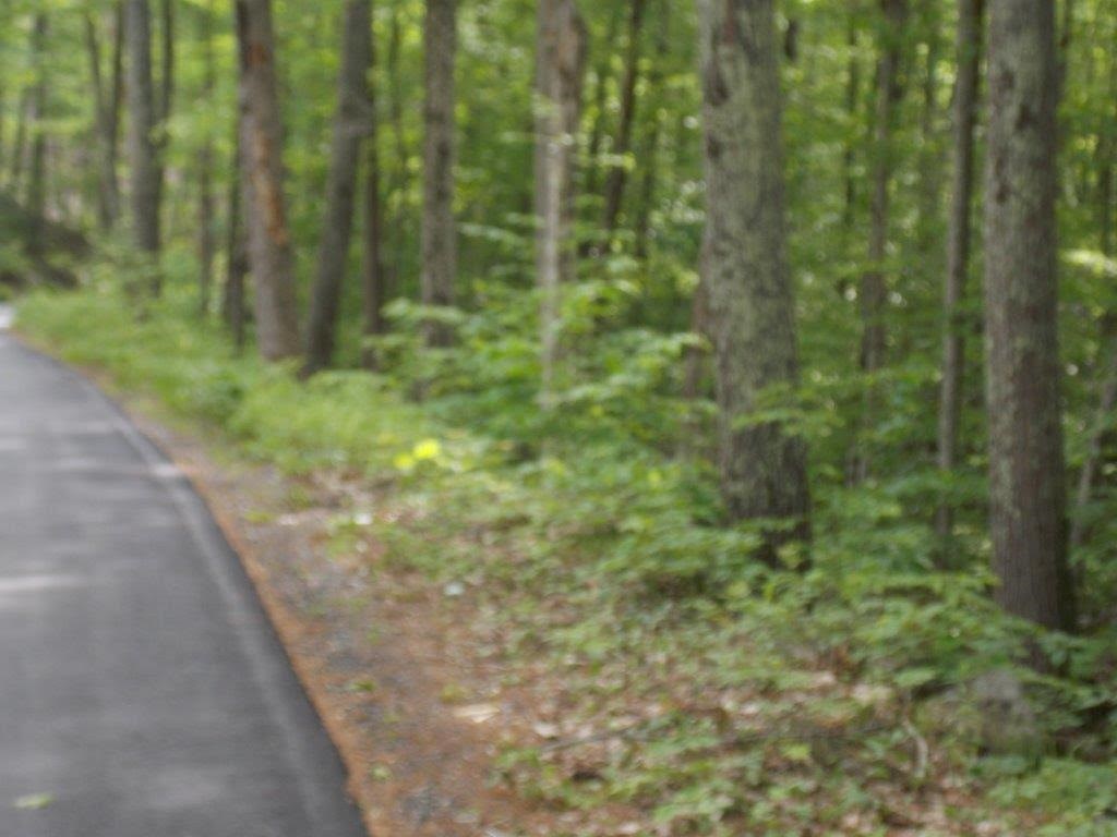 0 Route 119 &amp; Old Richmond Road, Fitzwilliam, NH 03447