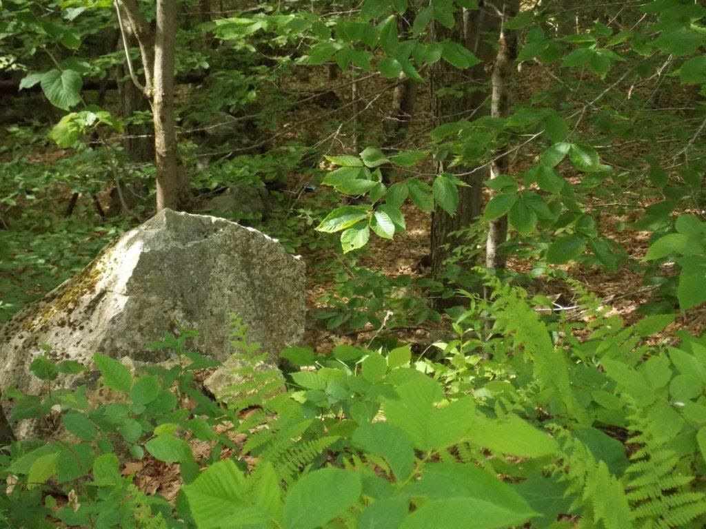 0 Route 119 & Old Richmond Road, Fitzwilliam, NH 03447
