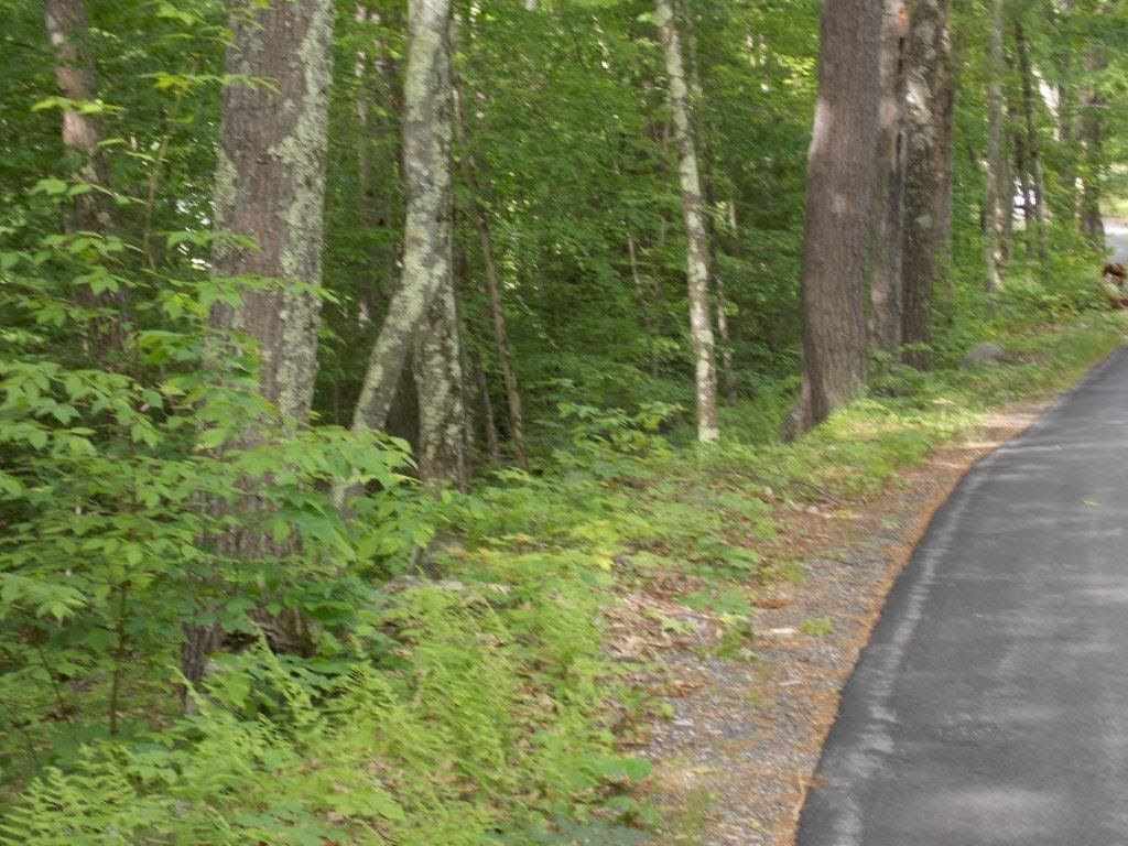 0 Route 119 & Old Richmond Road, Fitzwilliam, NH 03447
