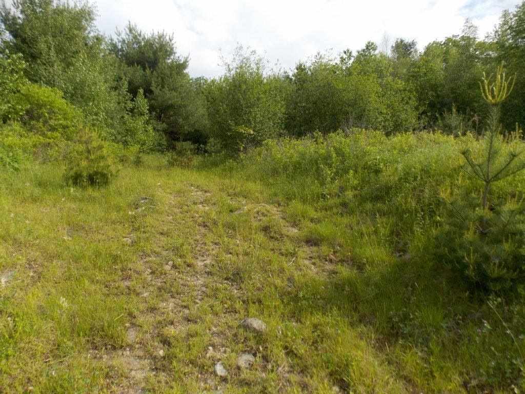 0 Route 119 & Old Richmond Road, Fitzwilliam, NH 03447