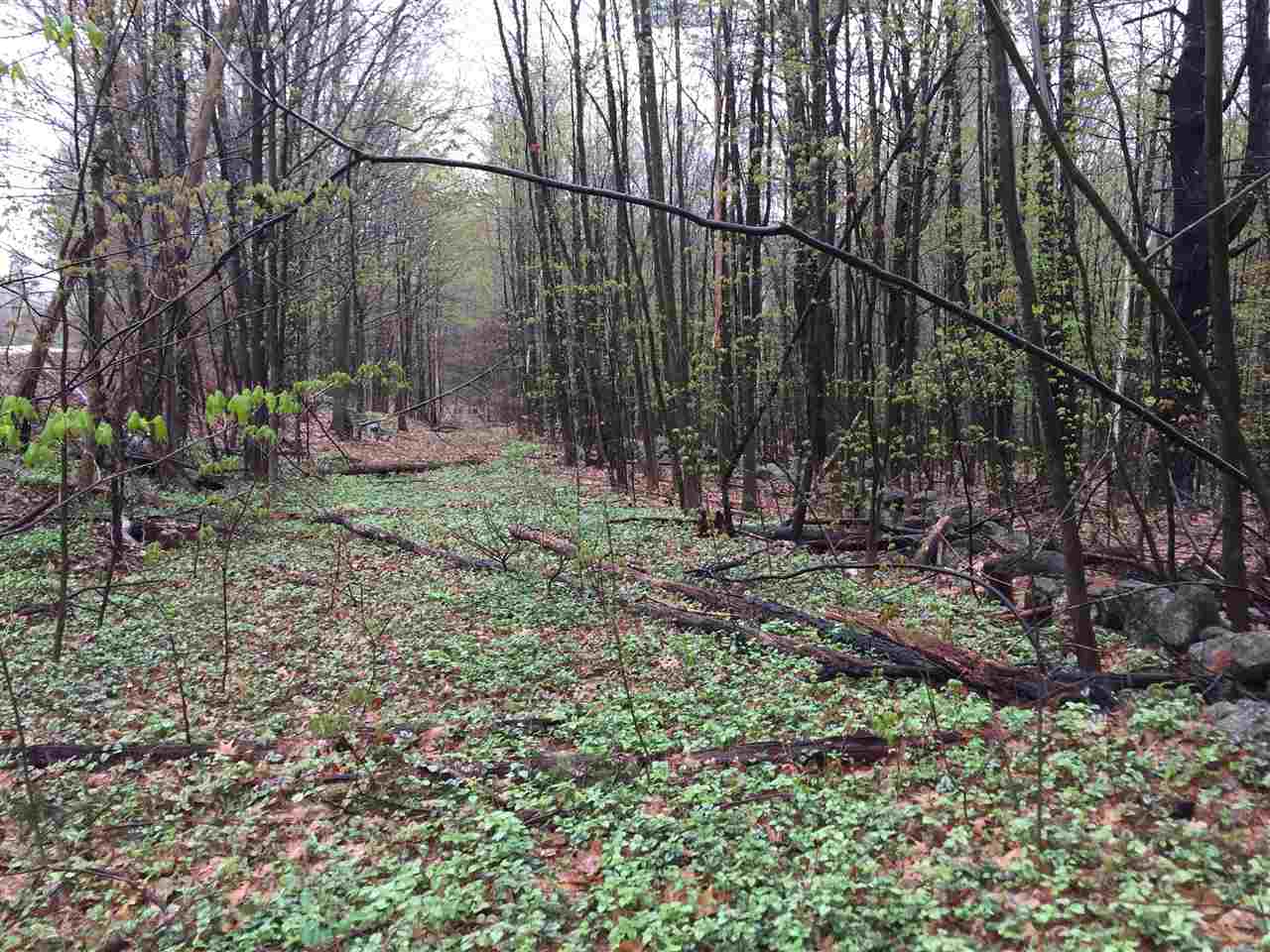 Lot 9 Forest Road, Hancock, NH 03449