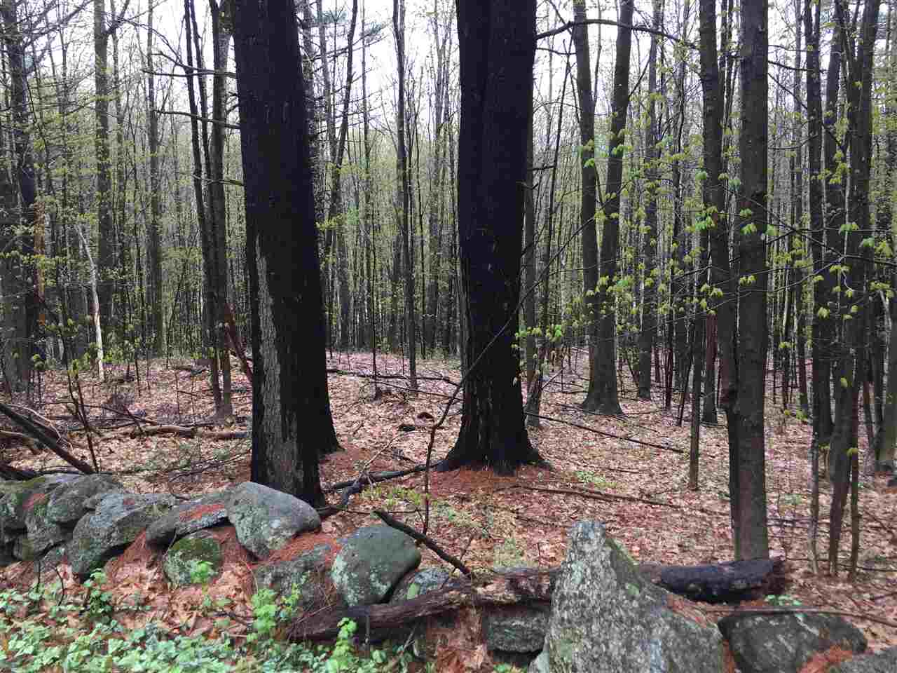 Lot 9 Forest Road, Hancock, NH 03449