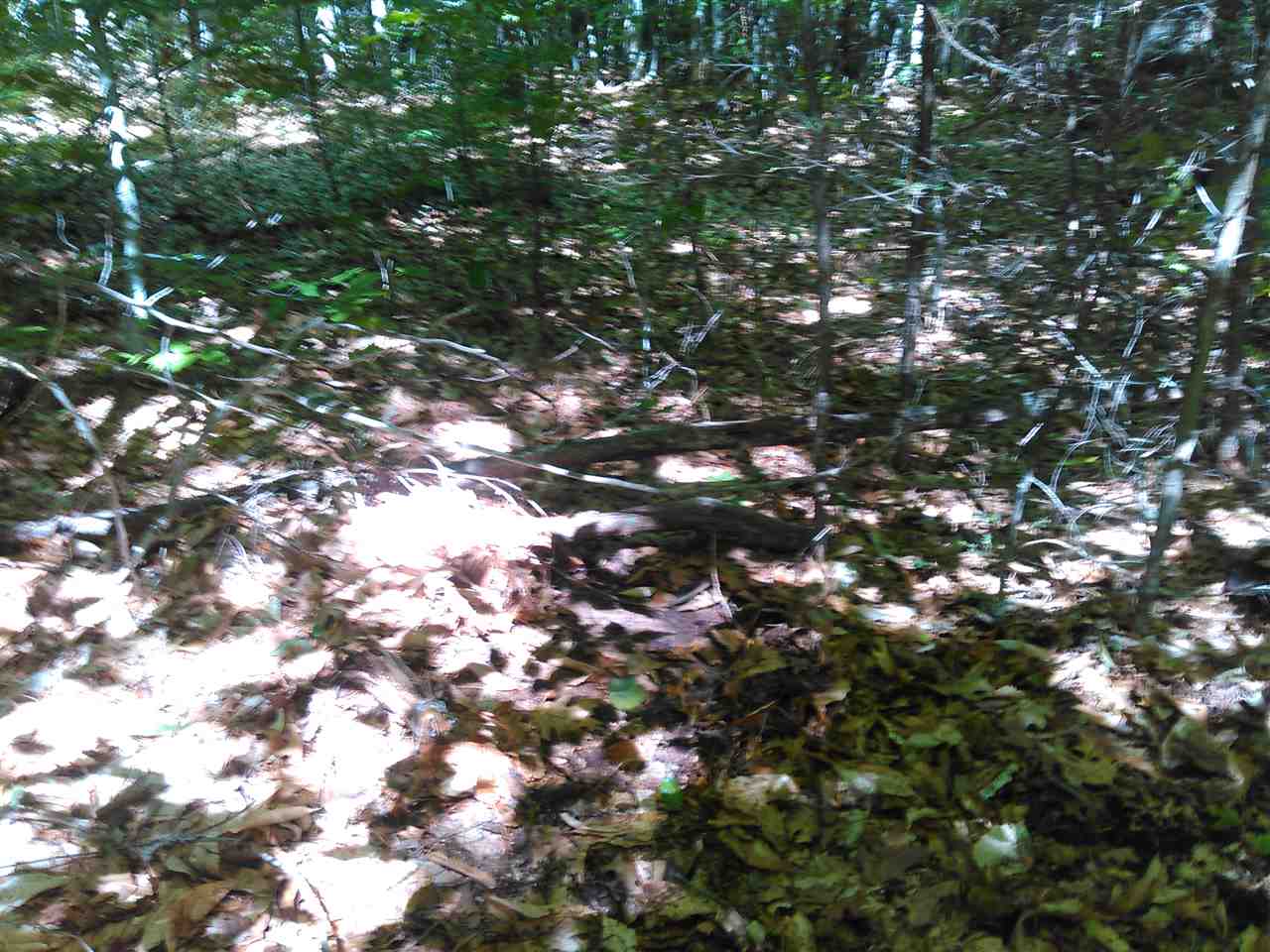 Dillingham Road Drive, Marlborough, NH 03455