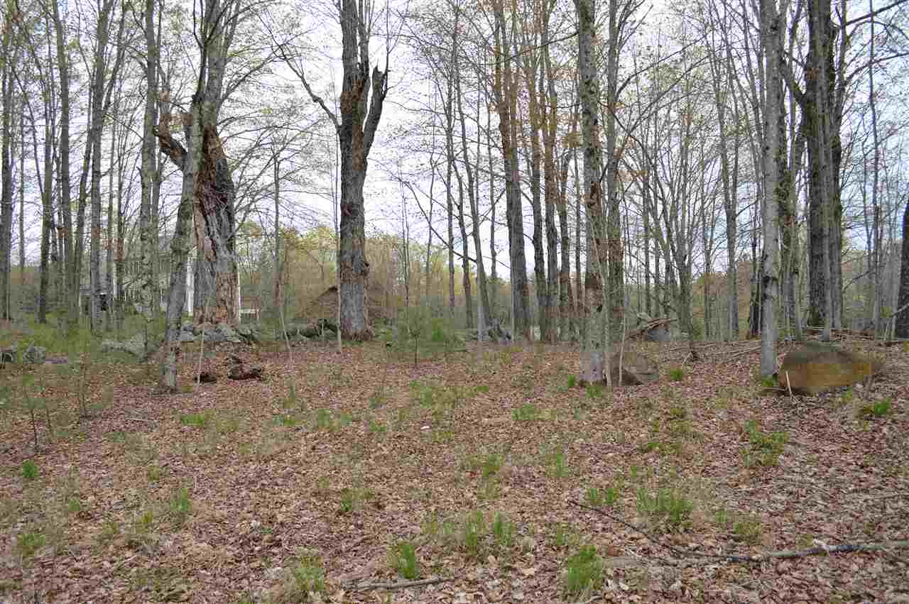 Route 124, Marlborough, NH 03455