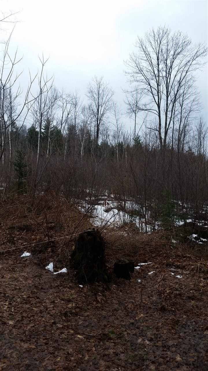 Old County Road, Westmoreland, NH 03467