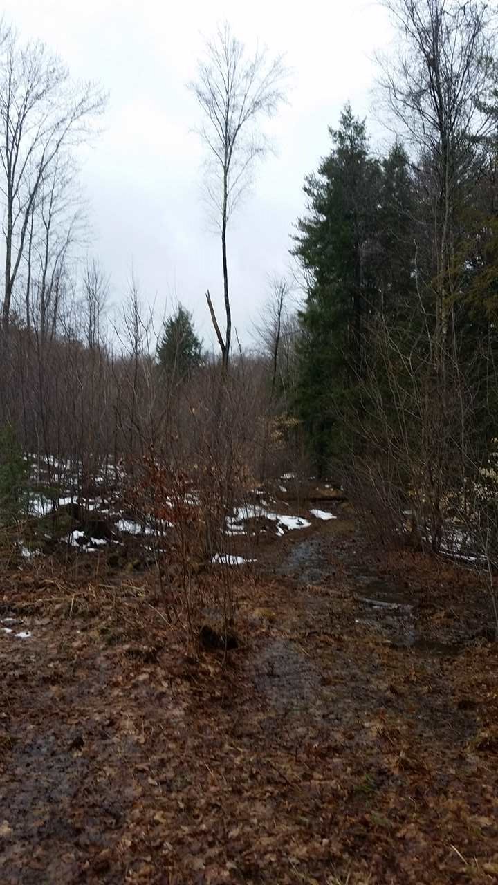 Old County Road, Westmoreland, NH 03467