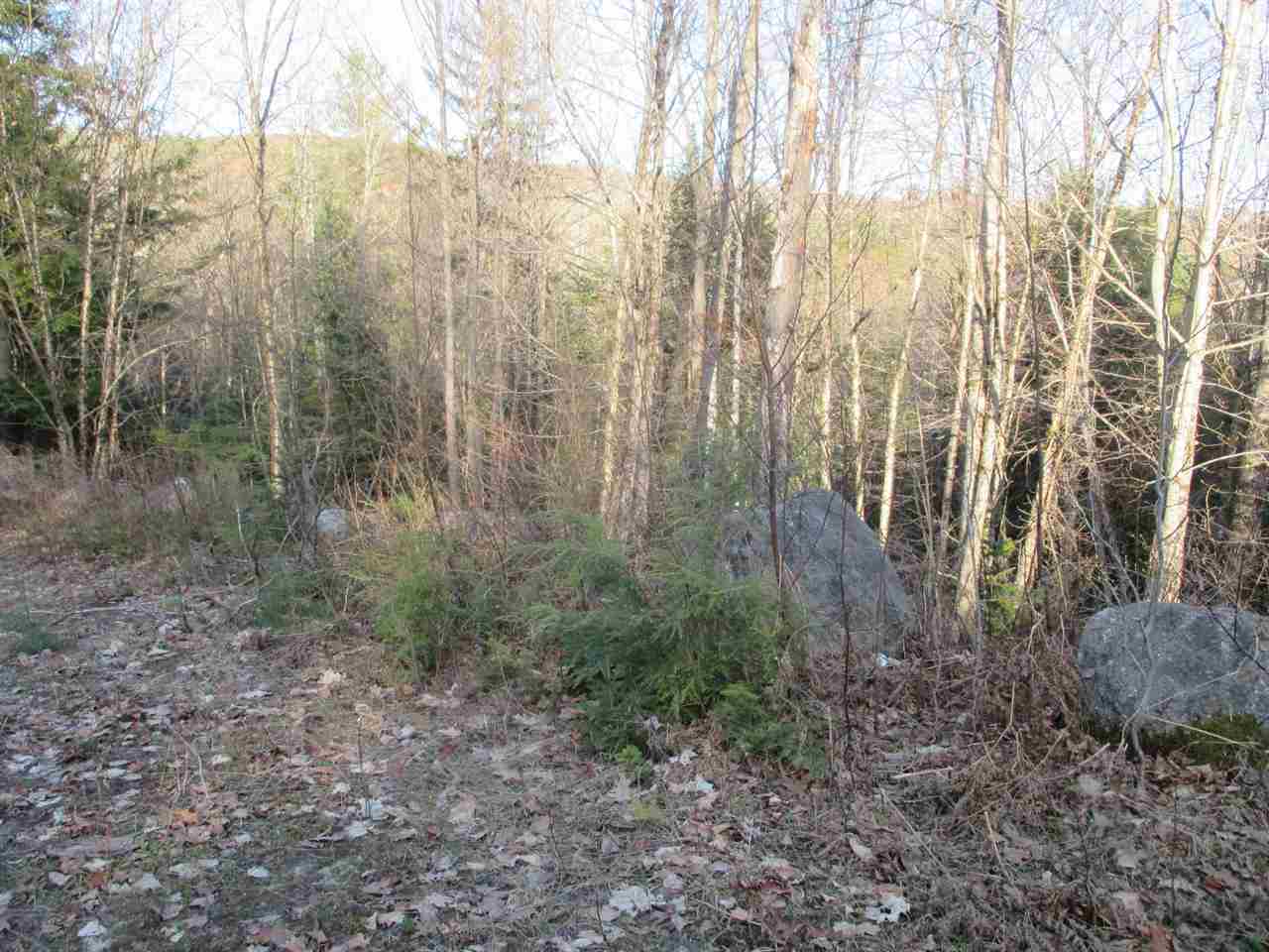 Point of View Drive, Littleton, NH 03561