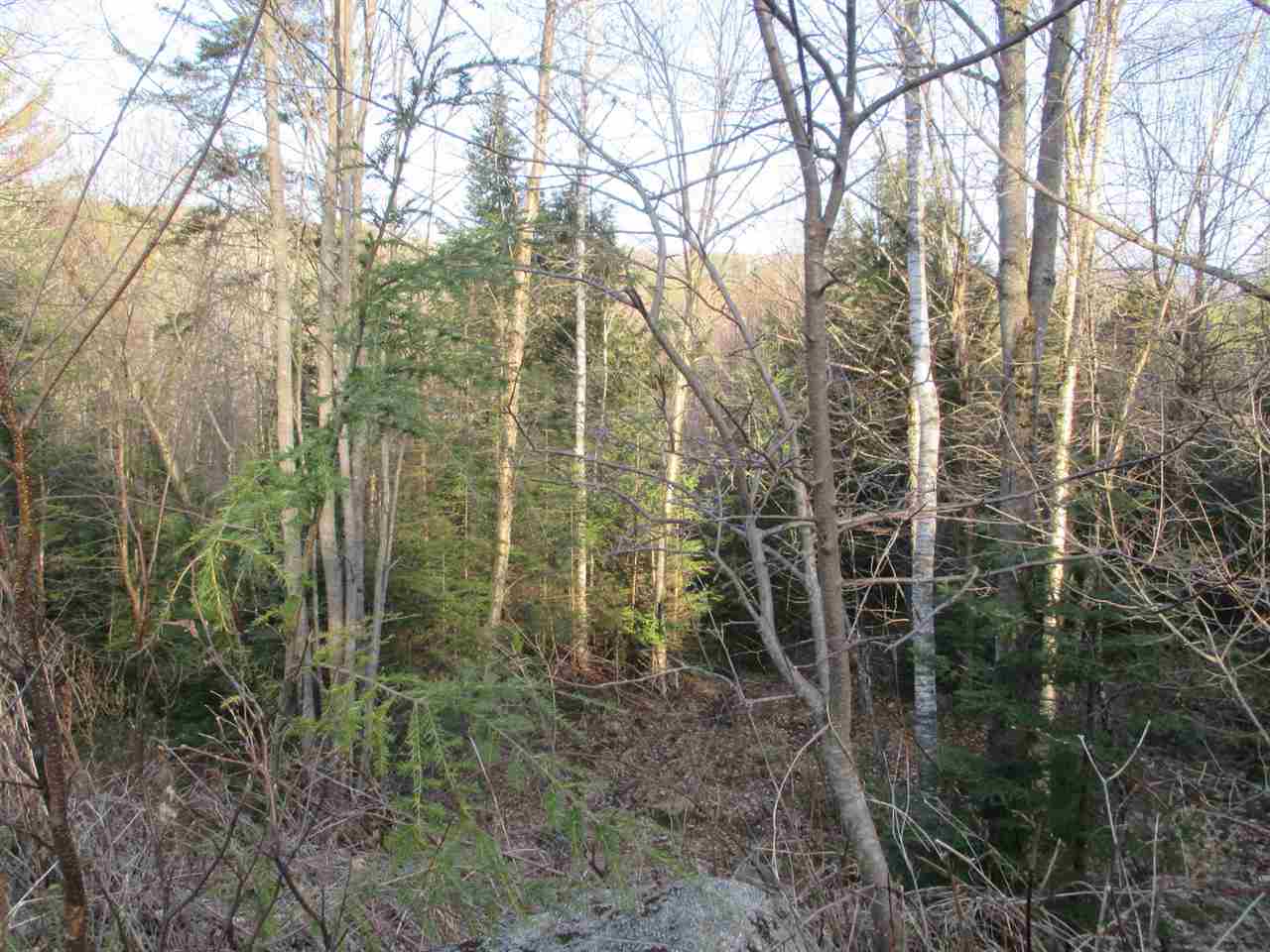 Point of View Drive, Littleton, NH 03561