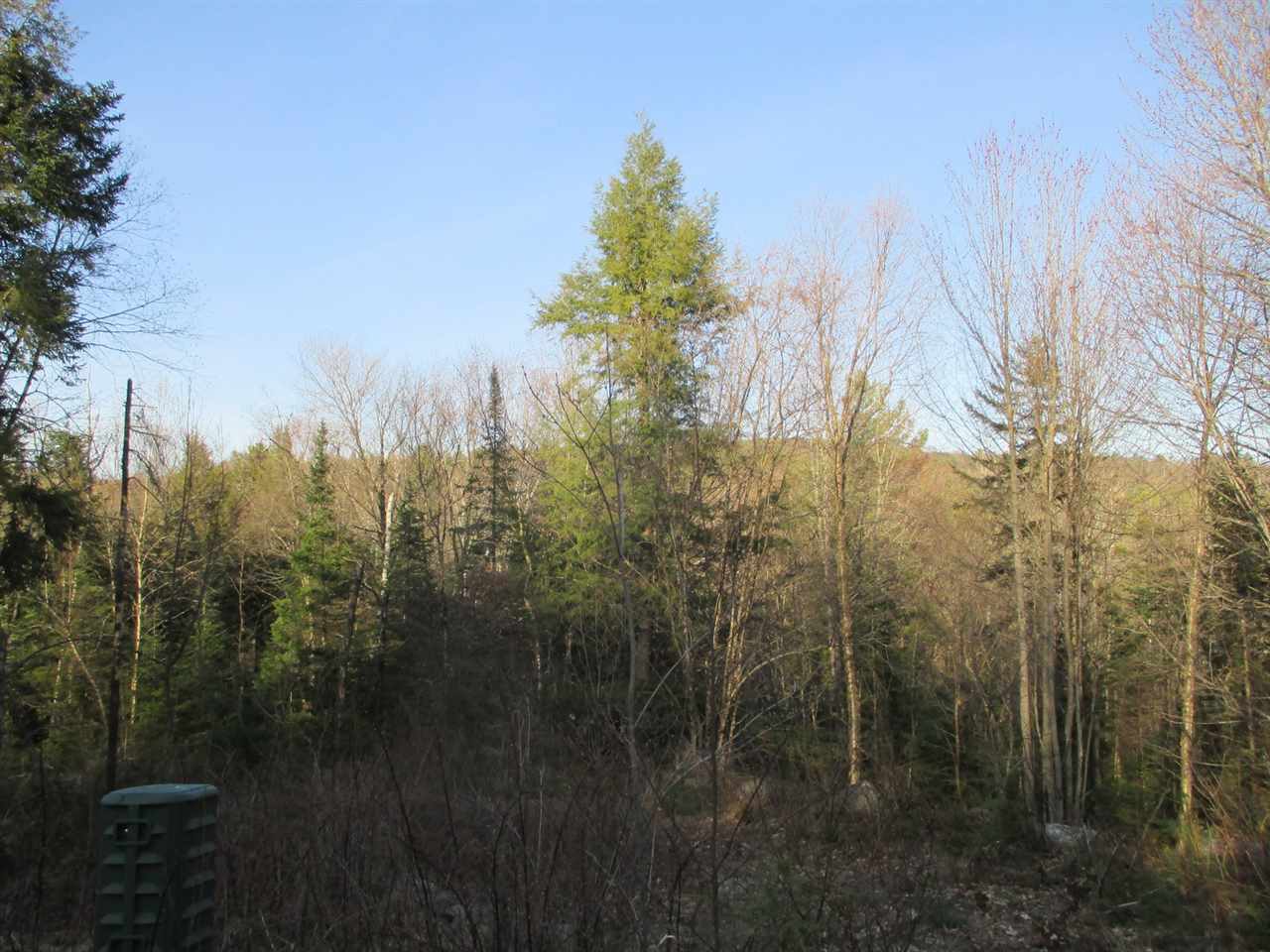 Point of View Drive, Littleton, NH 03561