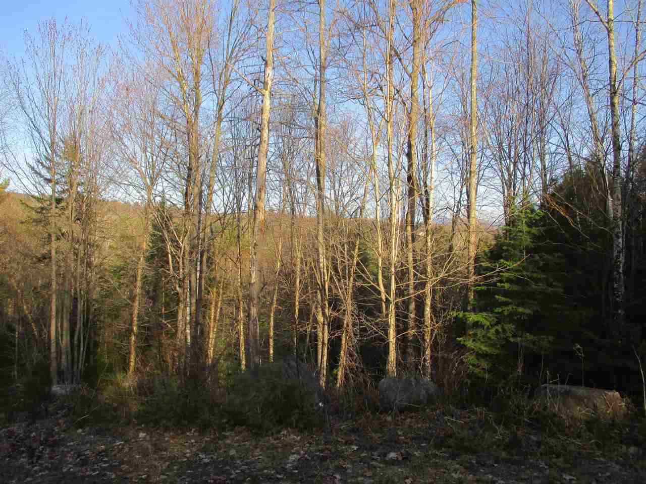 Point of View Drive, Littleton, NH 03561