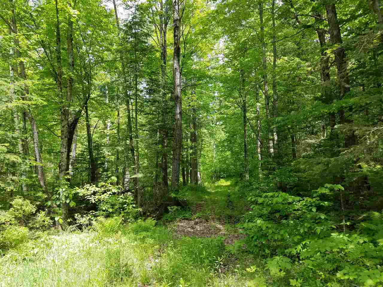 00 Parker Road, Bethlehem, NH 03574