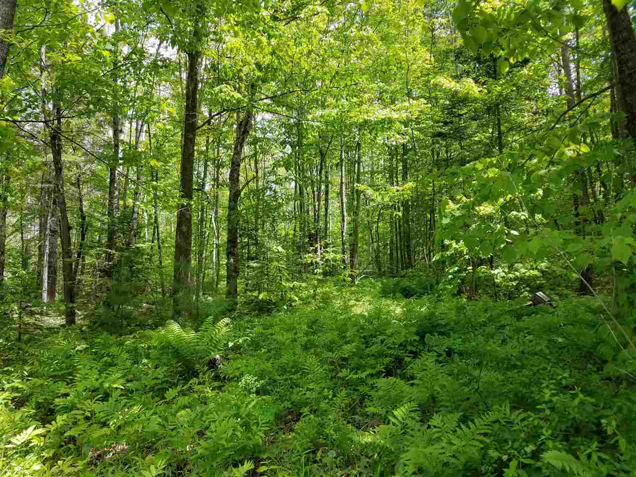 00 Parker Road, Bethlehem, NH 03574