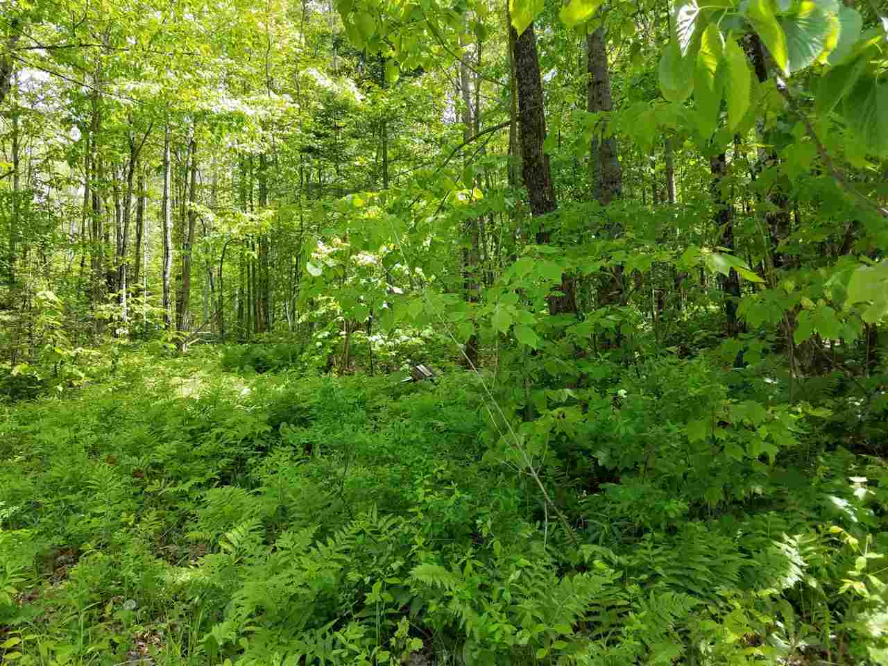 00 Parker Road, Bethlehem, NH 03574