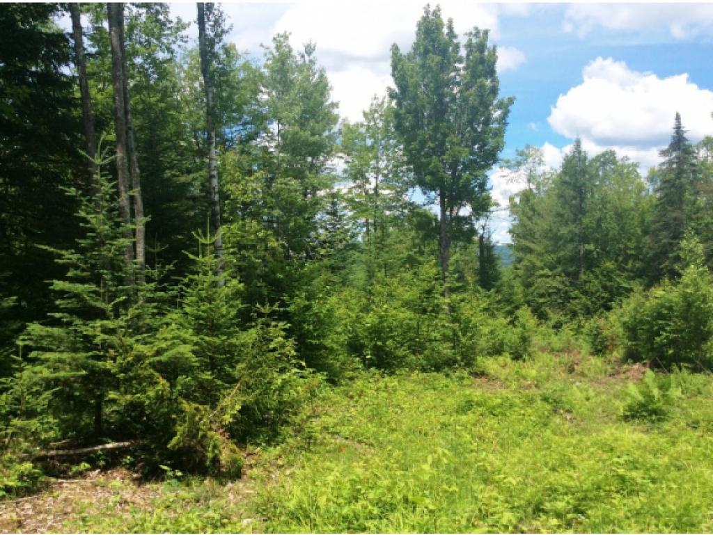 Lot 34.5 Ians Way, Bethlehem, NH 03574