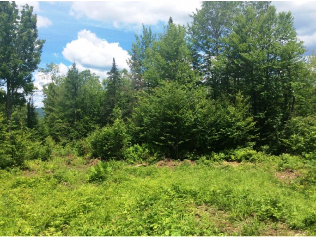 Lot 34.5 Ians Way, Bethlehem, NH 03574