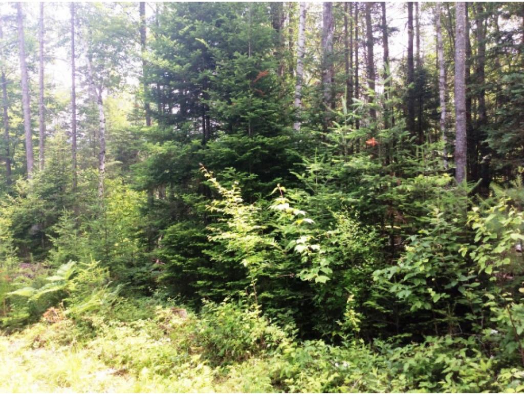 Lot 34.5 Ians Way, Bethlehem, NH 03574