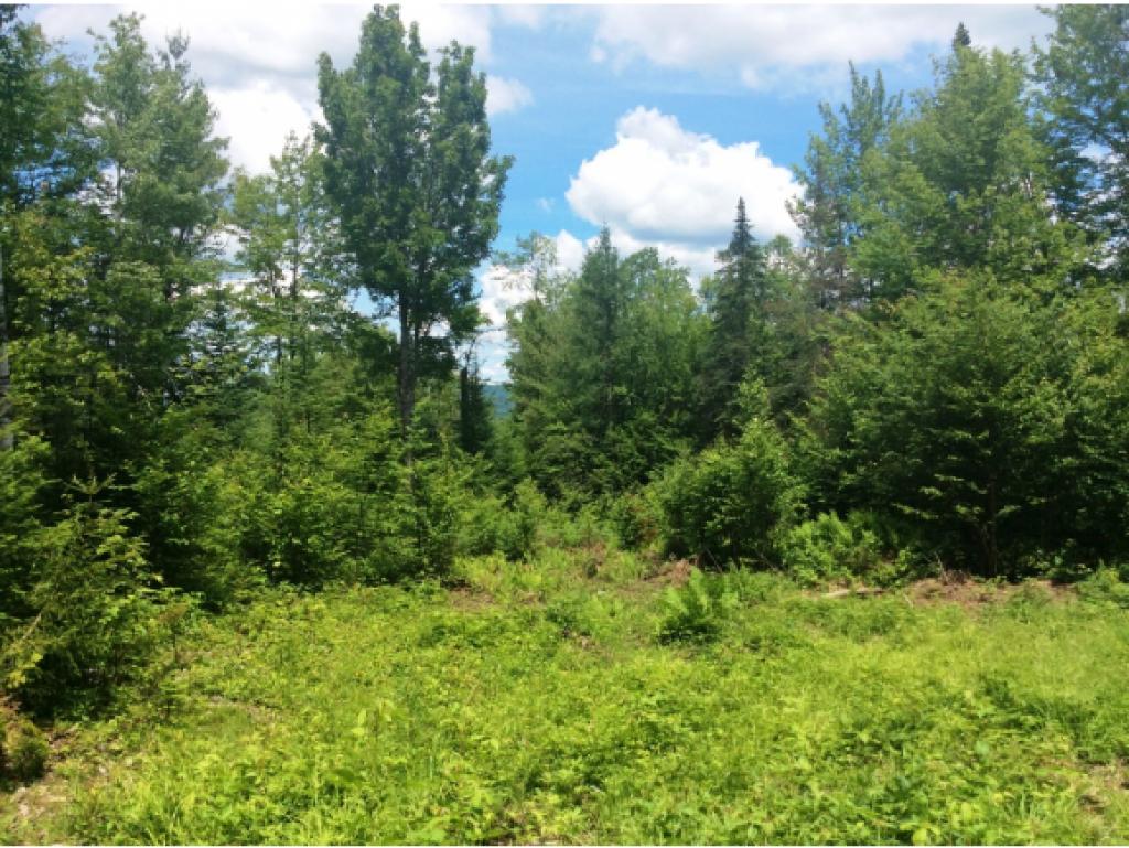 Lot 34.5 Ians Way, Bethlehem, NH 03574