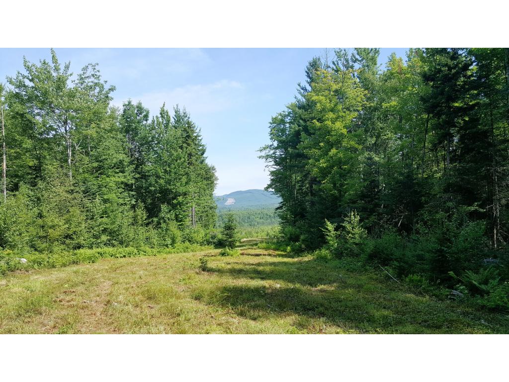 Lot 34.1 Ian&#039;s Way, Bethlehem, NH 03574