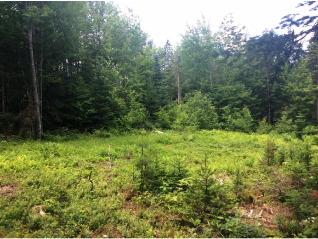 Lot 34.1 Ian's Way, Bethlehem, NH 03574