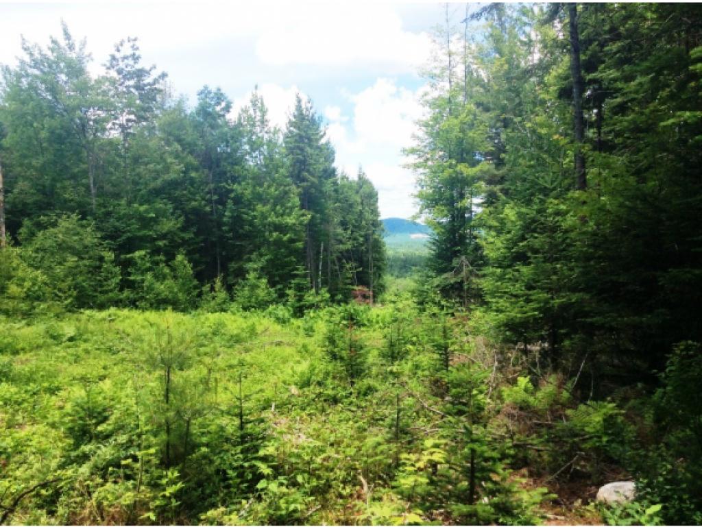 Lot 34.1 Ian's Way, Bethlehem, NH 03574