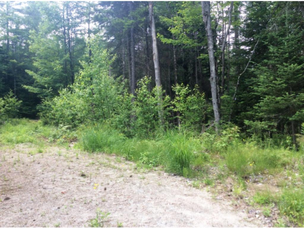 Lot 34.1 Ian's Way, Bethlehem, NH 03574