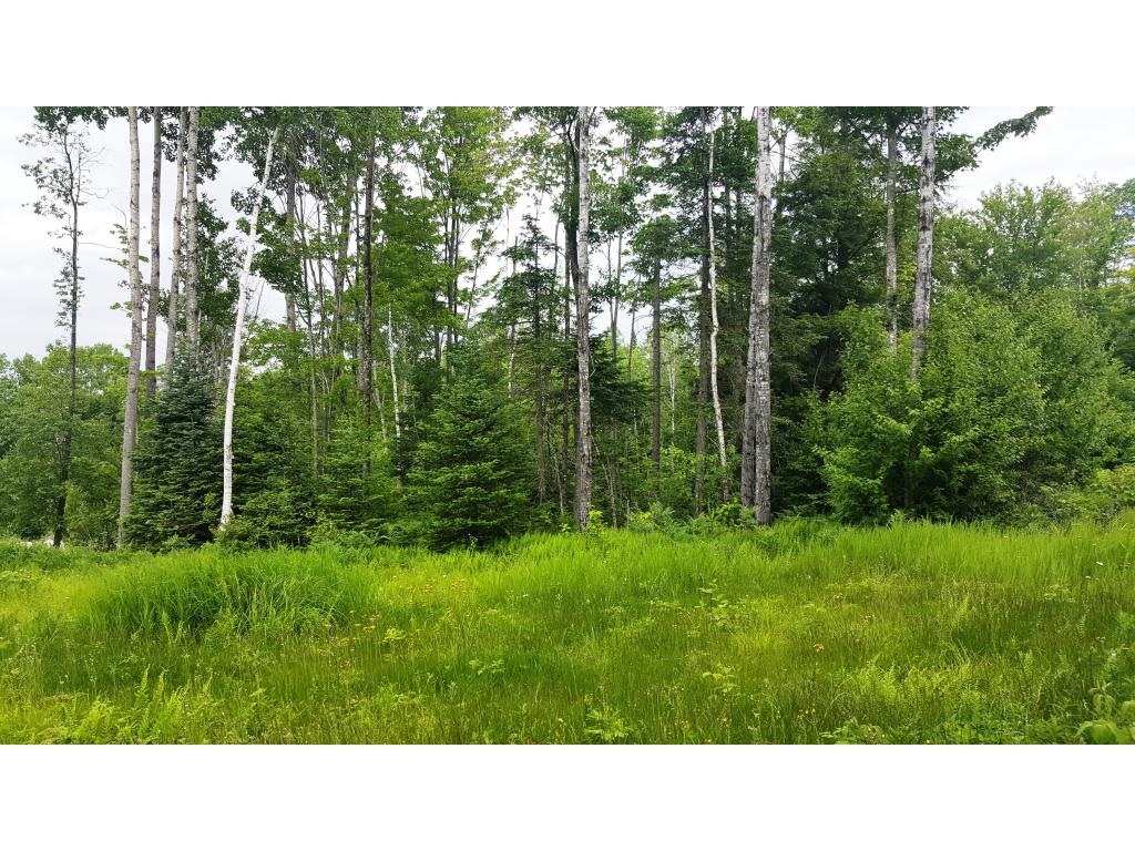 Lot 34.3 Ians Way, Bethlehem, NH 03574