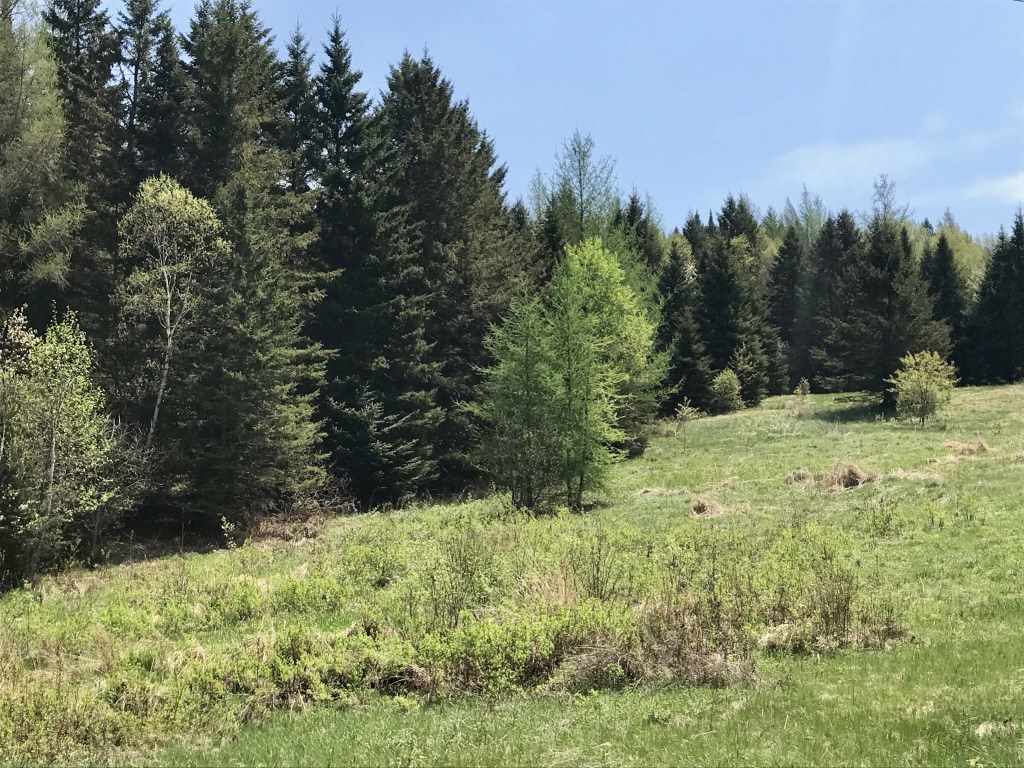 #2 Off Ramsey Road, Colebrook, NH 03576