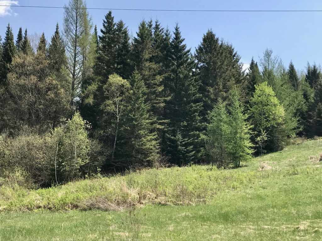 #2 Off Ramsey Road, Colebrook, NH 03576