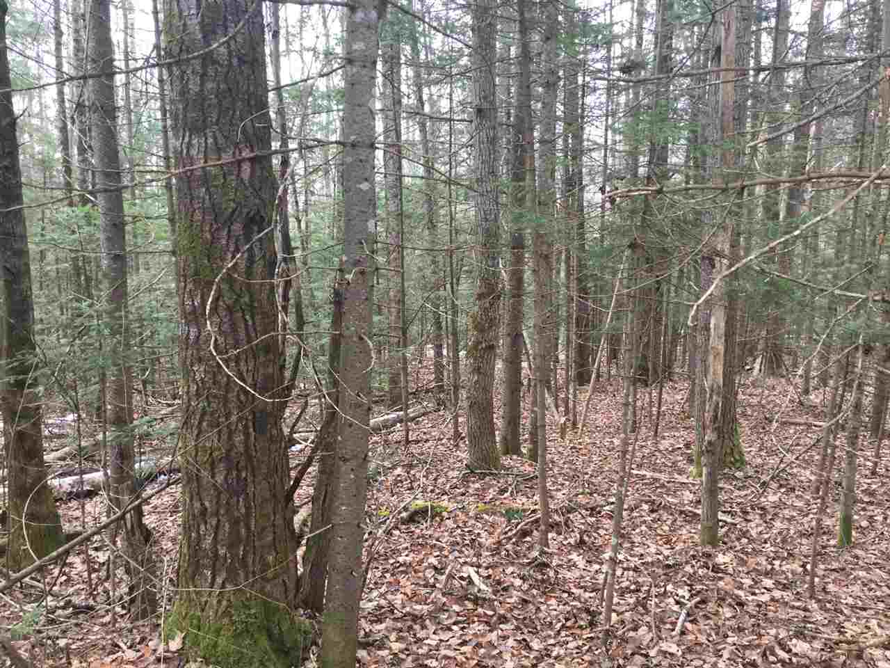 Lot 52 Gene Jordan Road, Columbia, NH 03576