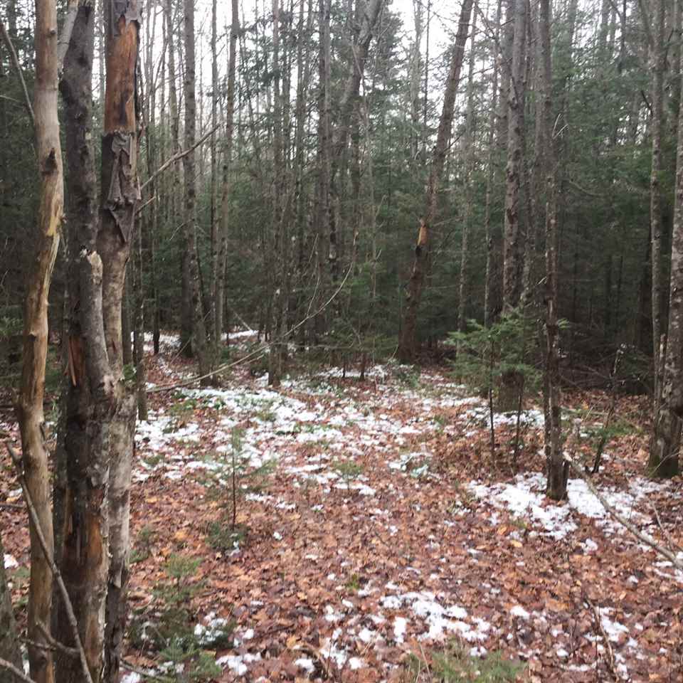Lot 52 Gene Jordan Road, Columbia, NH 03576