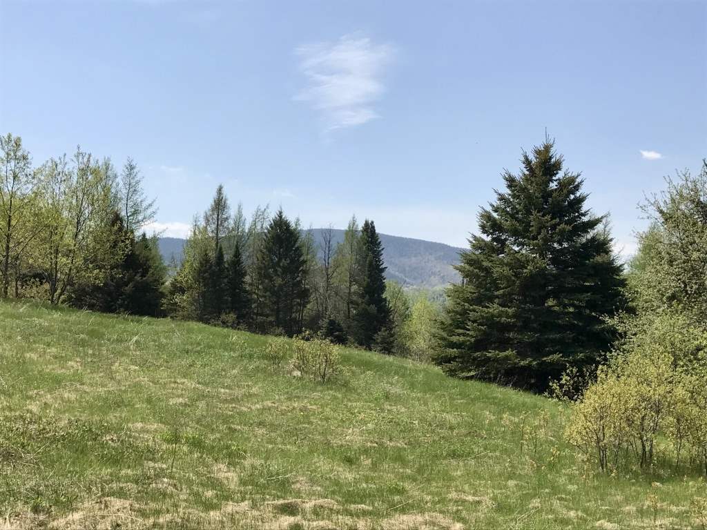 #1 Off Ramsey Road, Colebrook, NH 03576