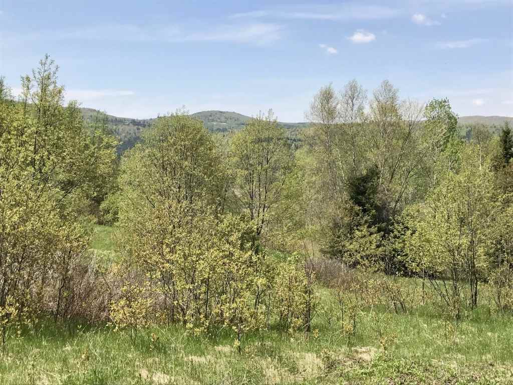 #1 Off Ramsey Road, Colebrook, NH 03576