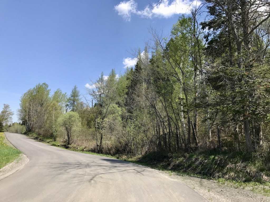#1 Off Ramsey Road, Colebrook, NH 03576