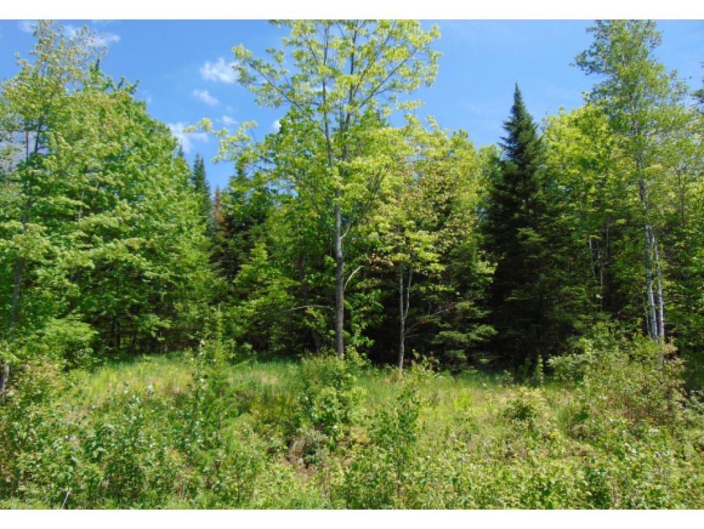- Lot 13 Sliver Maple Lane, Colebrook, NH 03576