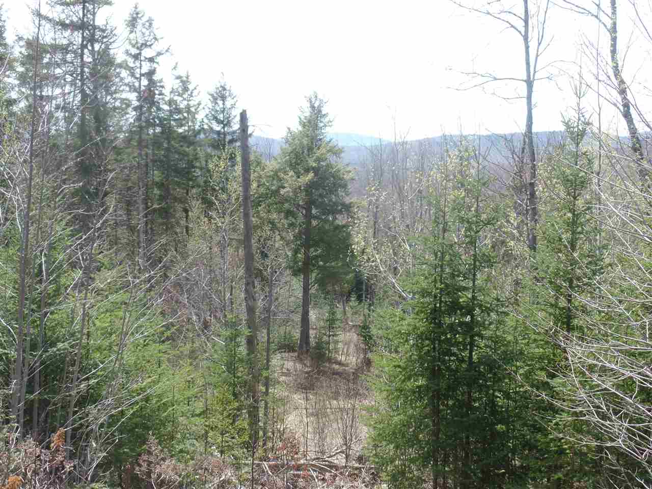 Lot #5 Valley Road, Errol, NH 03579