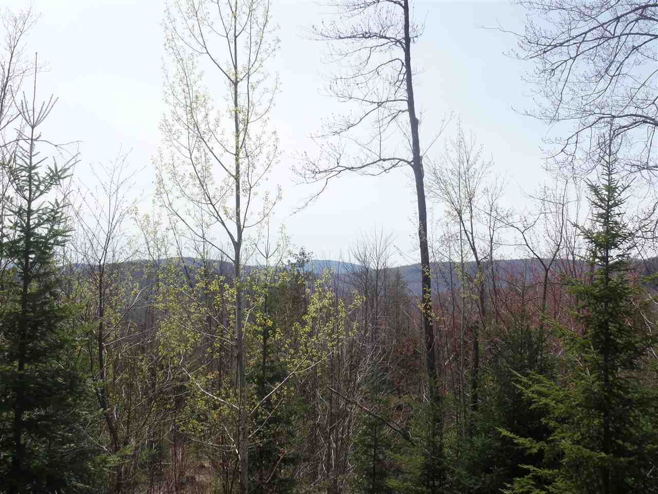 Lot #5 Valley Road, Errol, NH 03579