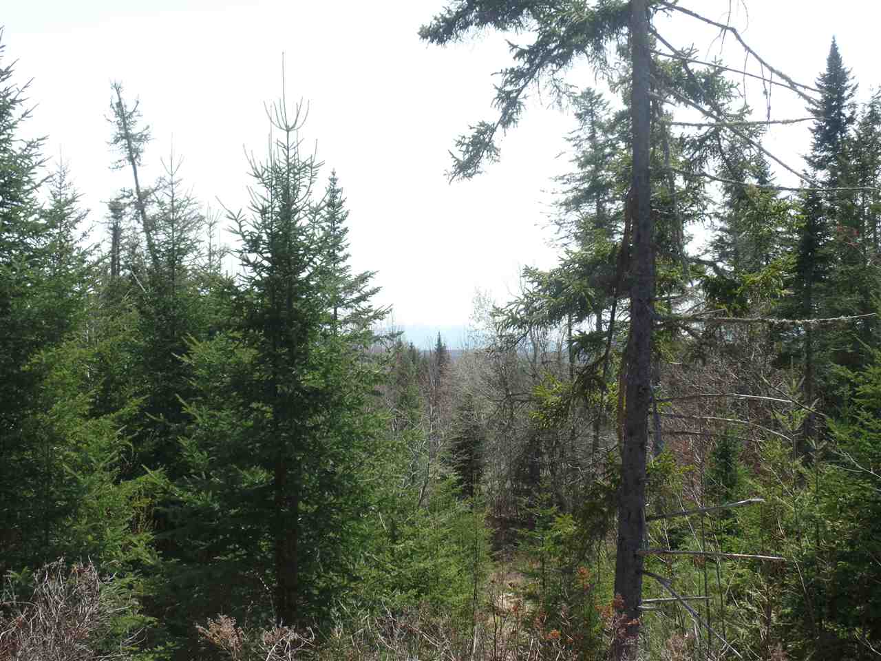 Lot #5 Valley Road, Errol, NH 03579