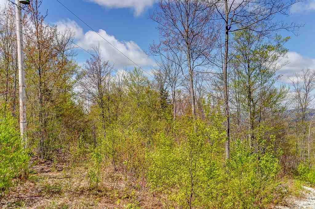 00 Summit Drive, Franconia, NH 03580