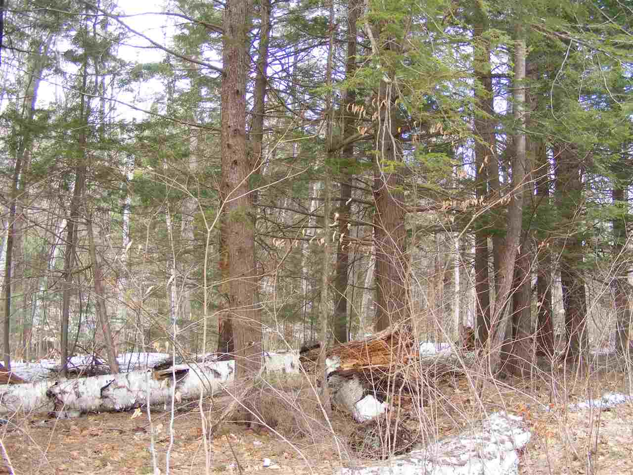 587 North Road, Shelburne, NH 03581