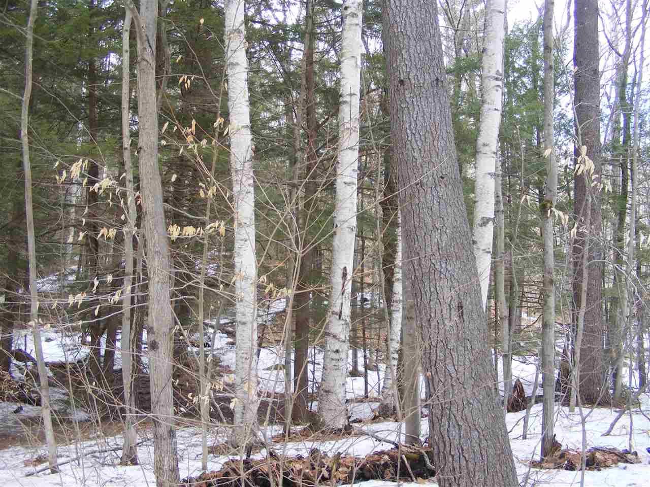 587 North Road, Shelburne, NH 03581