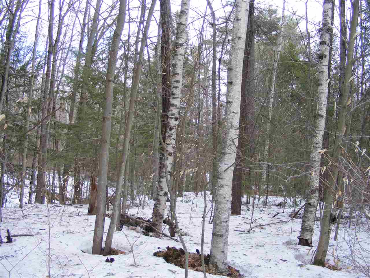 587 North Road, Shelburne, NH 03581